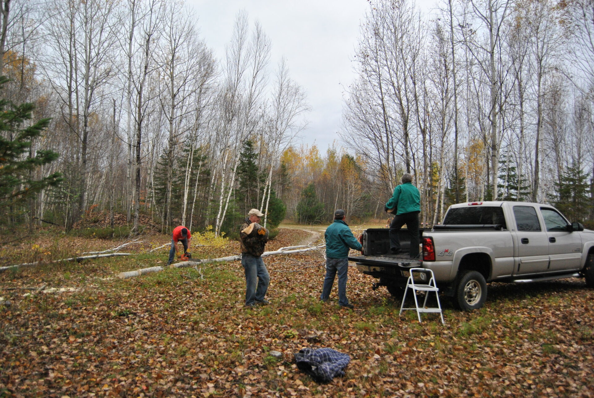 Clearing some trees at the arcc