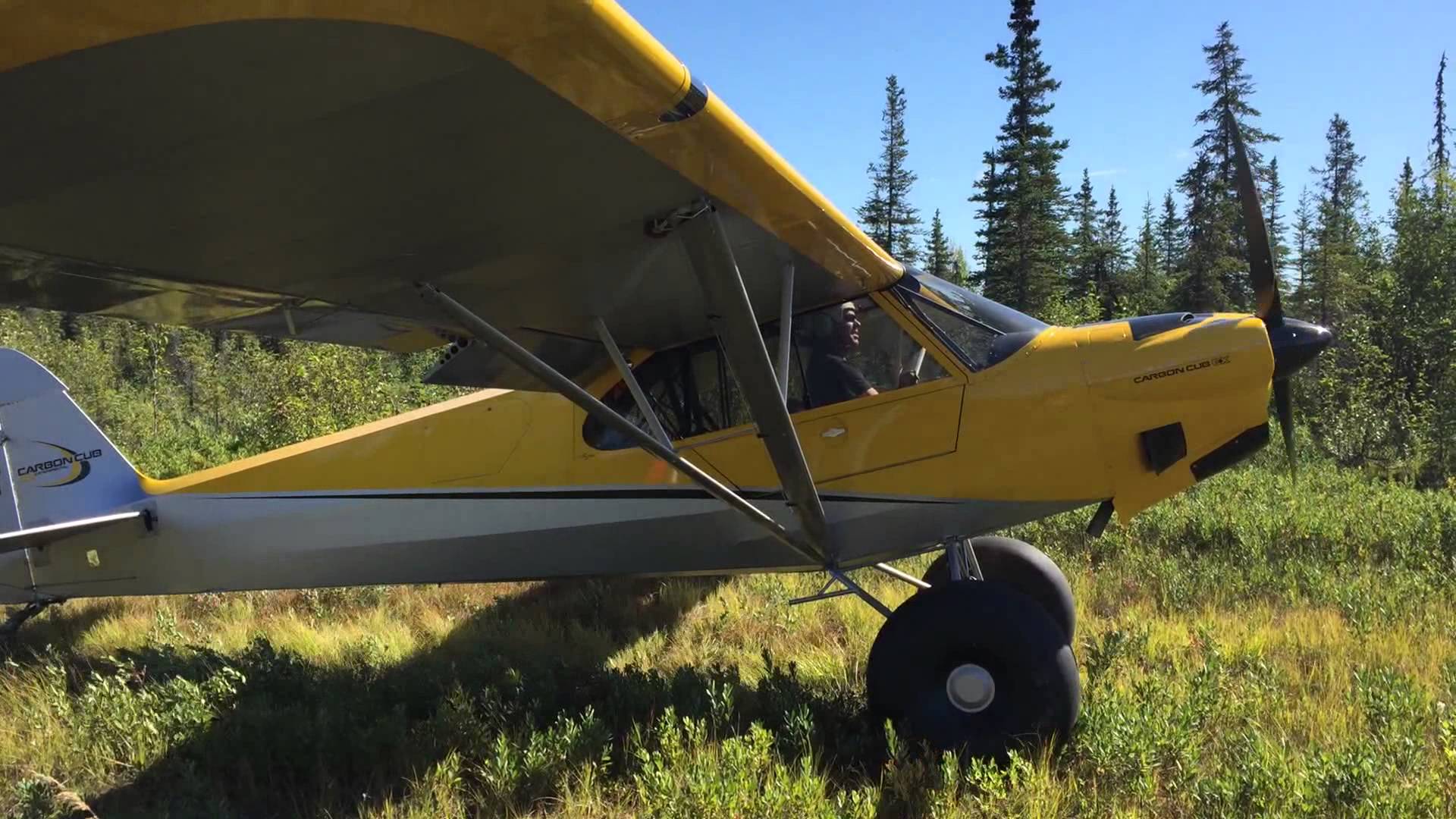 Hanger 9 Carbon Cub