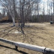 ARCC Annual Spring Cleanup & Field Opening